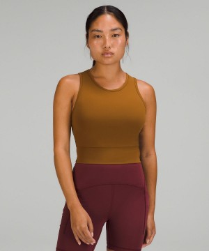 Debardeur Lululemon Mesh-Back Training Cropped Femme Marron | FR_LuLu56765